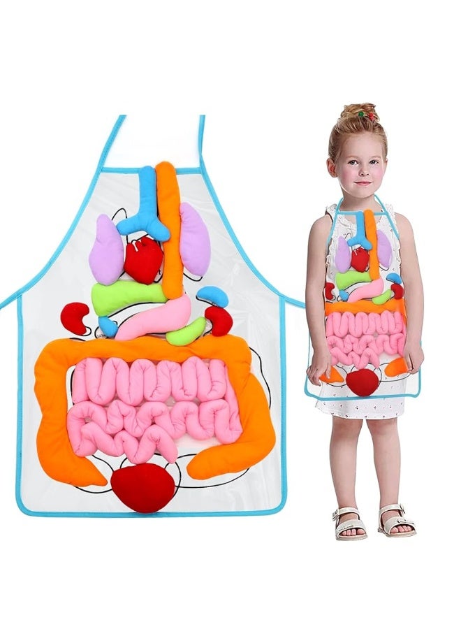 KAKIBLIN 3D Organ Apron,(Upgrade Version) Anatomy Apron Human Body Organs Awareness Educational Toy for Home Preschool Teaching Aid, Transparent