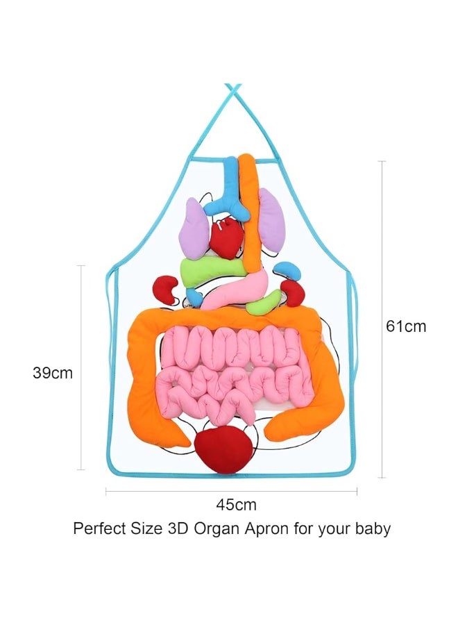 KAKIBLIN 3D Organ Apron,(Upgrade Version) Anatomy Apron Human Body Organs Awareness Educational Toy for Home Preschool Teaching Aid, Transparent