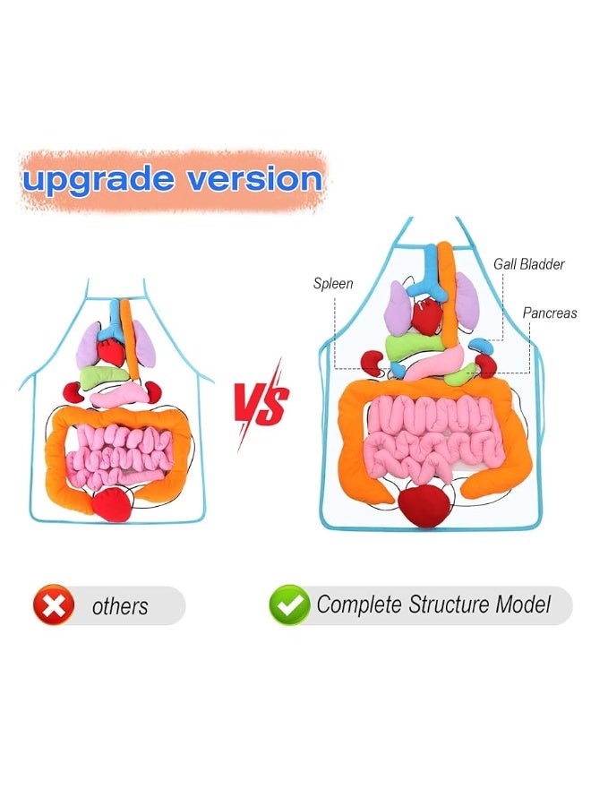 KAKIBLIN 3D Organ Apron,(Upgrade Version) Anatomy Apron Human Body Organs Awareness Educational Toy for Home Preschool Teaching Aid, Transparent