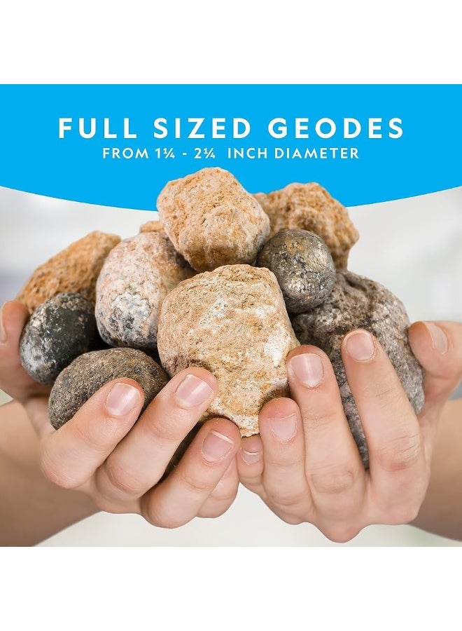 NATIONAL GEOGRAPHIC Break Open 10 Premium Geodes - Includes Goggles and Display Stands - Great STEM Science Kit, Geology Gift for Kids, Geodes Rocks Break Your Own, Toys for Boys and Girls