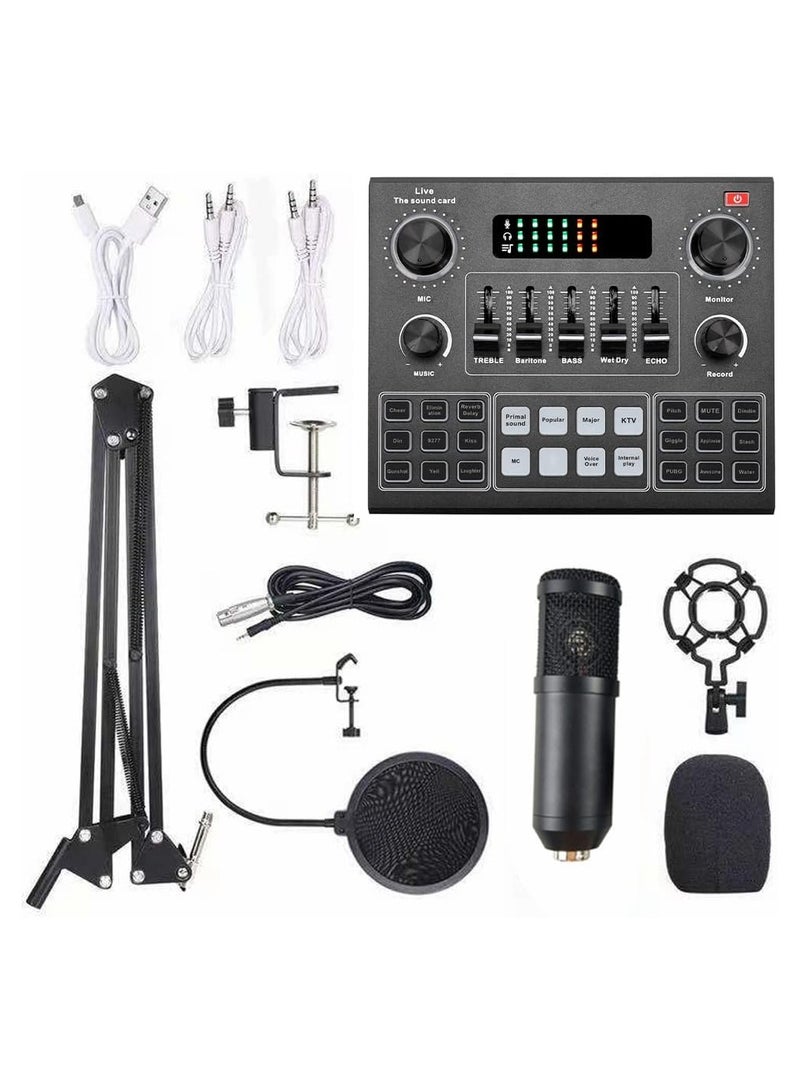 V9 Live Sound Card with BM800 Microphone Full Set, Bluetooth Accompaniment Audio Mixer with Sound Effects