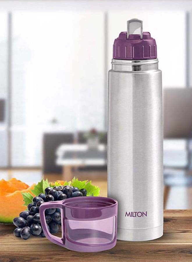 750ml Thermosteel Flask with Jacket, Keeps Drinks Hot and Cold for 24 Hours, 18/8 Stainless Steel, Double-Walled Vacuum Insulated Water Bottle with Inner Copper Coating - Glassy Purple