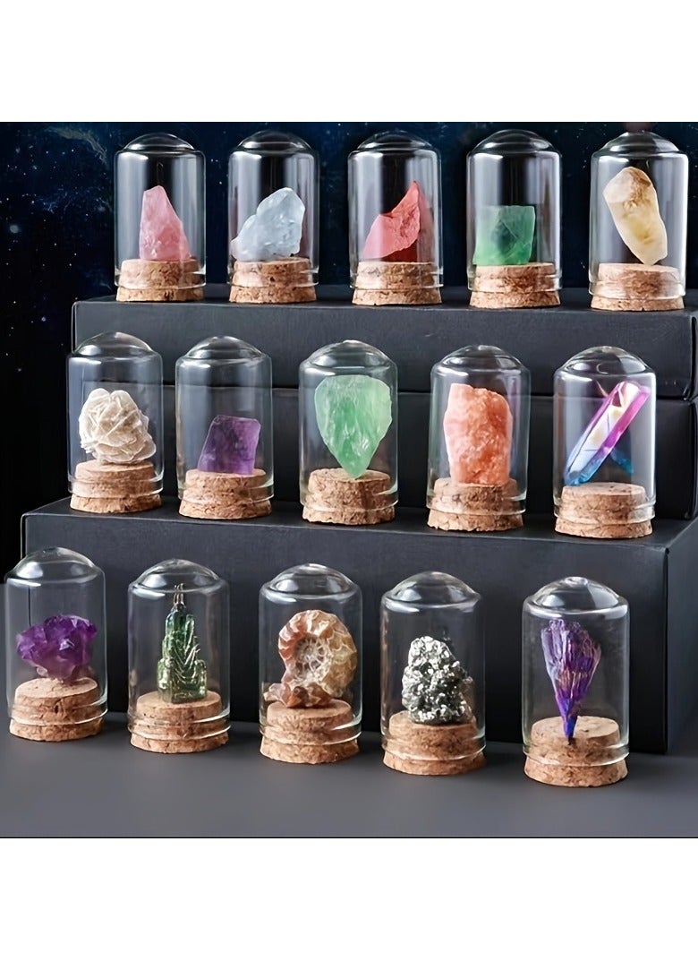 25 Pcs Mineral Specimen Mineral Specimen Rock Specimen Natural Stone Collection Set Glass Cover Ore Dust Proof Figurine Ornament Display Specimen Box Table Collection Bismuth Crystal Geological Science Decor Accessory Graduation Memorial Birthday Keepsake