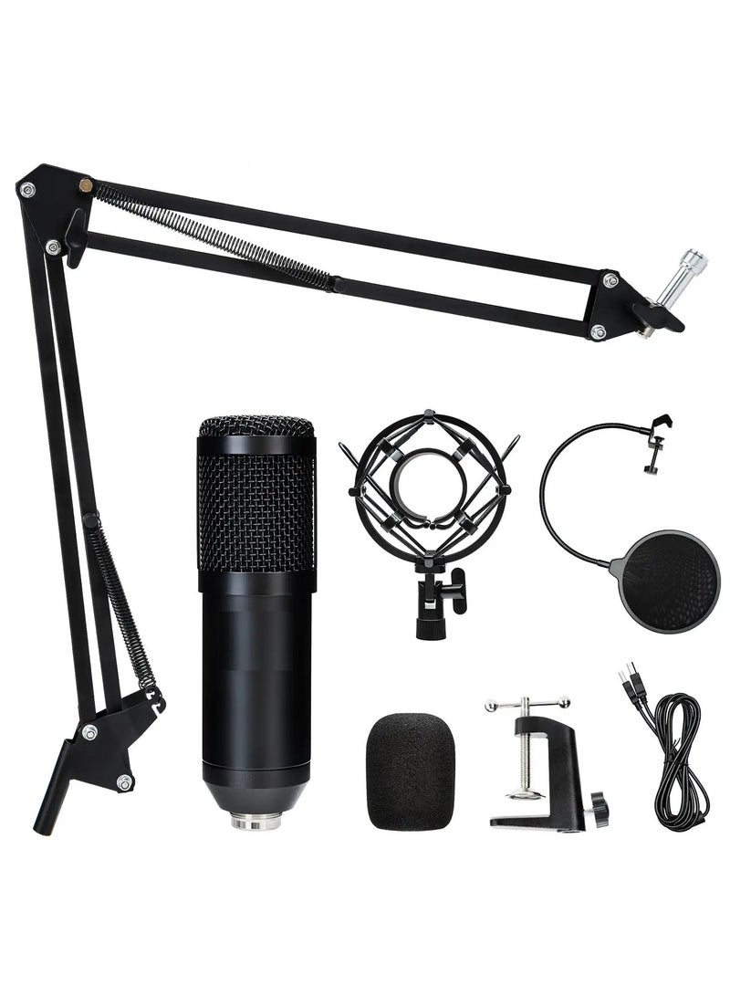 USB Studio Microphone with Noise Reduction, Stand, and Ring Light for High-Quality Streaming, Karaoke, and Podcasting on PC and YouTube.