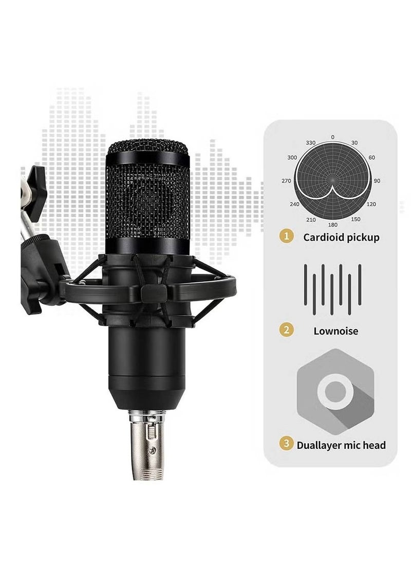 Podcast Equipment Set, BM-800 Mic Kit with V8 Live Sound Card, Condenser PC Gaming Mic with Professional Audio Mixer, Prefect for Streaming, Computer, Singing, Youtube, Recording (BLACK)