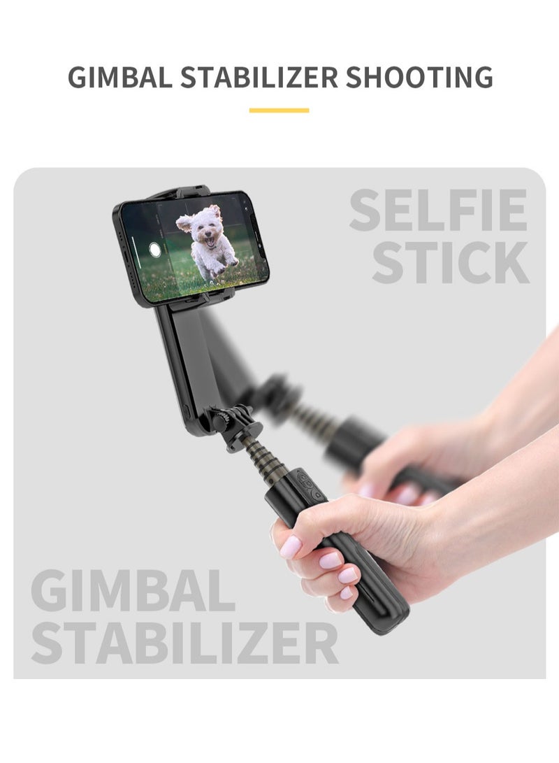 L09 Handheld Gimbal Stabilizer with Bluetooth Selfie Stick and Beauty Ring Light for Vloggers(Black)