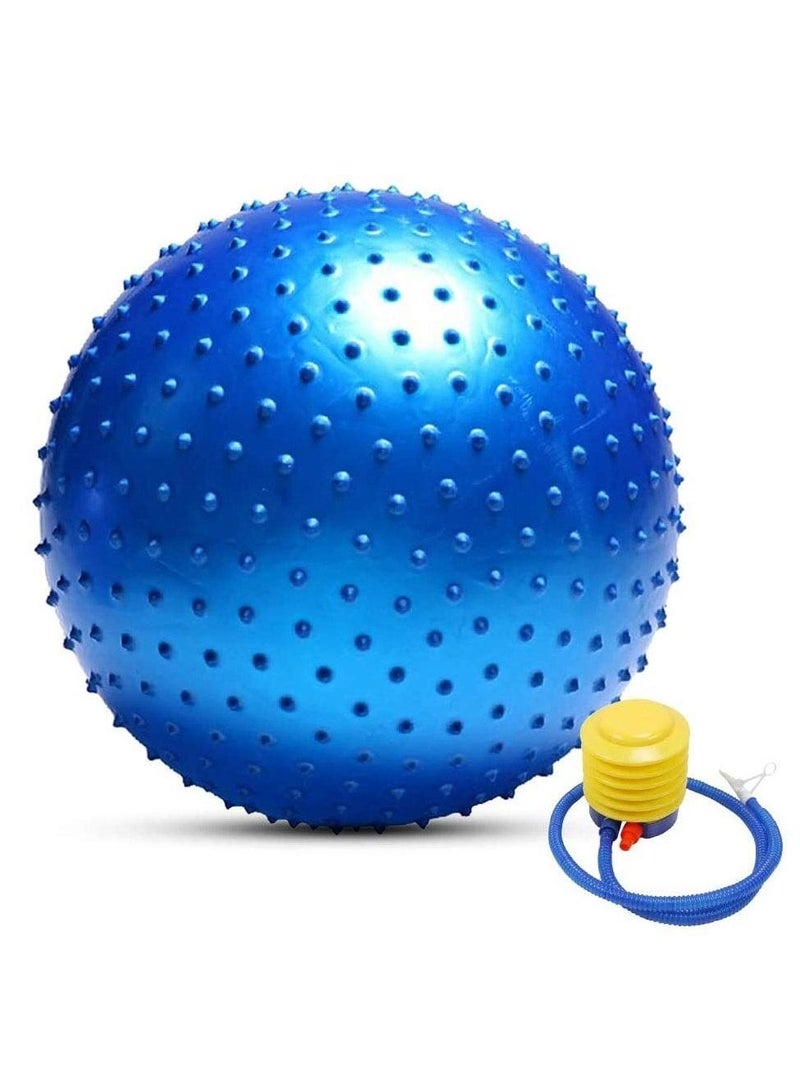 Tactile Sensory Yoga Ball 75cm with Air Pump Thickened Stability Balance Sense for Physical Fitness Exercise