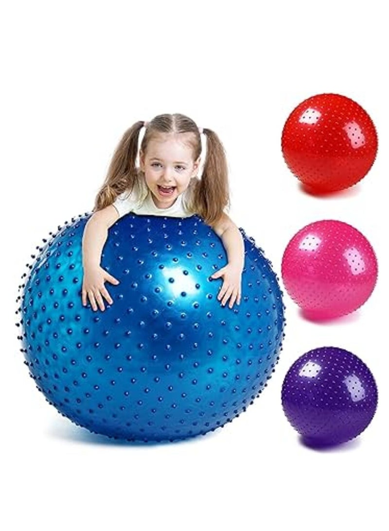 Tactile Sensory Yoga Ball 65cm with Air Pump Thickened Stability Balance Sense for Physical Fitness Exercise