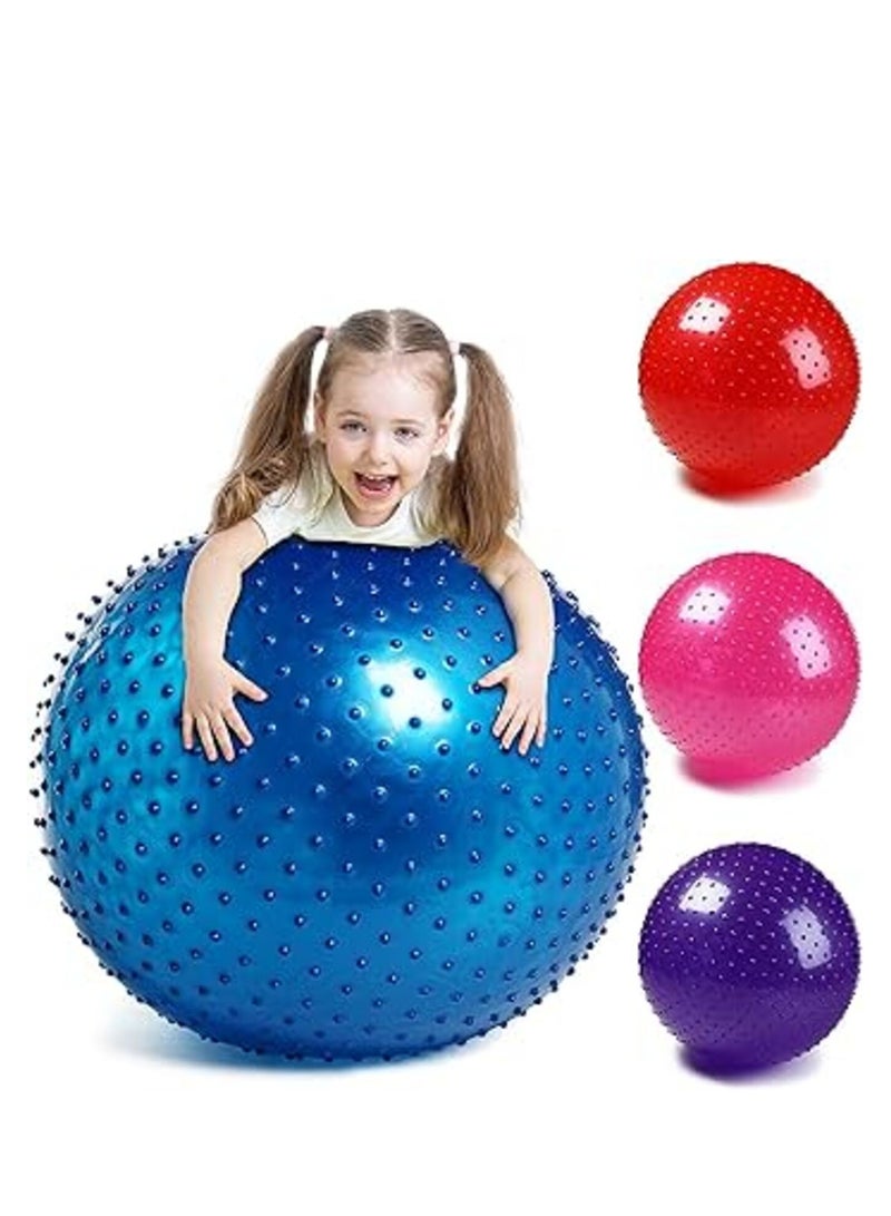 Tactile Sensory Yoga Ball 75cm with Air Pump Thickened Stability Balance Sense for Physical Fitness Exercise