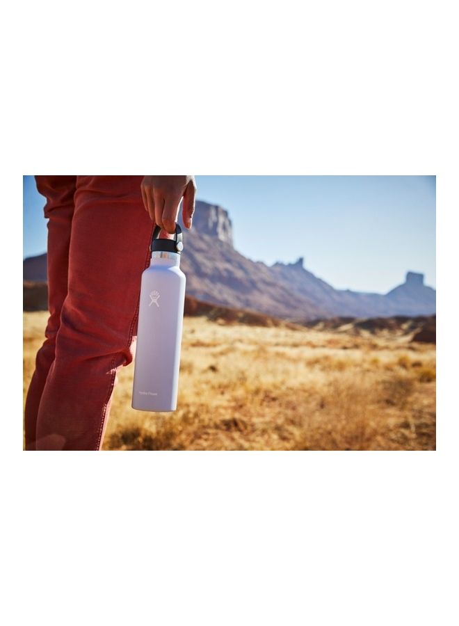 Stainless Steel Water Bottle 621ml