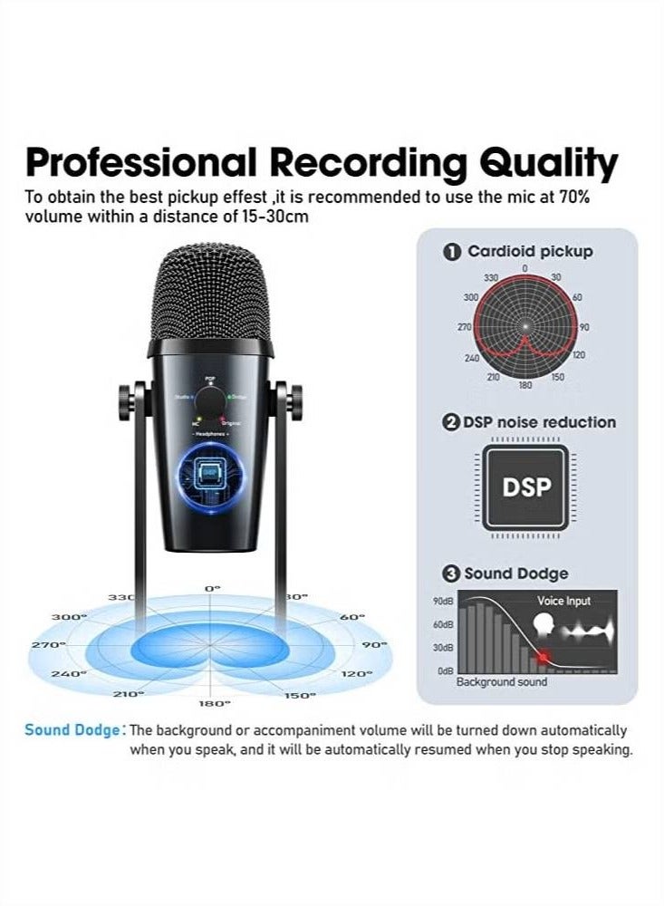 PW10 Professional Metal Voice Recording Usb Condenser Studio And Podcast Recording Gaming Microphones