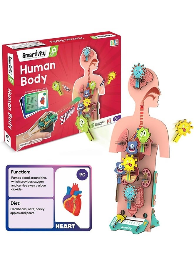 Smartivity Human Body Toy for Kids 6-12 Years | Body Organs & Functions | Best Birthday Gift for Boys & Girls | DIY STEM Educational Science Project Model for Kids 6,7,8,9,10,11,12 Years Old