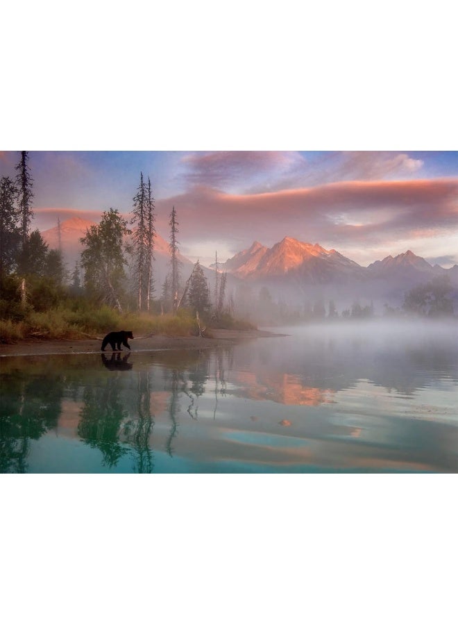 Buffalo Games  Molly McCormick  Bear Reflection  500 Piece Jigsaw Puzzle for Adults Challenging Puzzle Perfect for Game Nights  Finished Puzzle Size is 2125 x 1500