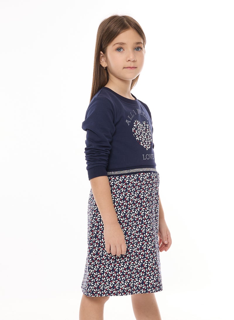 Floral Applique And Glitter Ribbed Printed Girls Dress