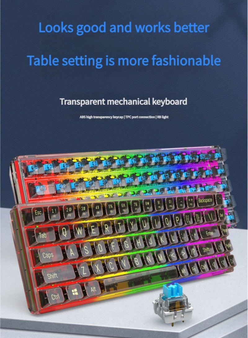 65% Wired RGB Transparent Gaming Keyboard, 68-key Compact Fully Transparent Mechanical Keyboard with Translucent Plate, Custom Linear Switches, Support Win/Linux and Mac OS Black