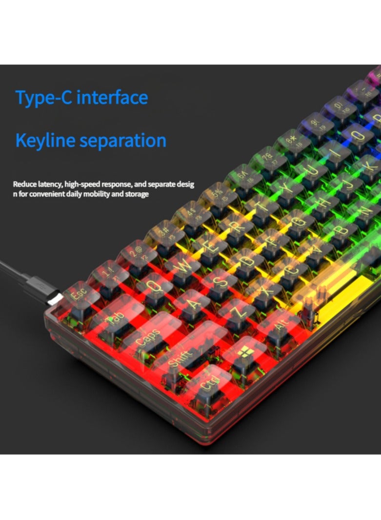 65% Wired RGB Transparent Gaming Keyboard, 68-key Compact Fully Transparent Mechanical Keyboard with Translucent Plate, Custom Linear Switches, Support Win/Linux and Mac OS Black