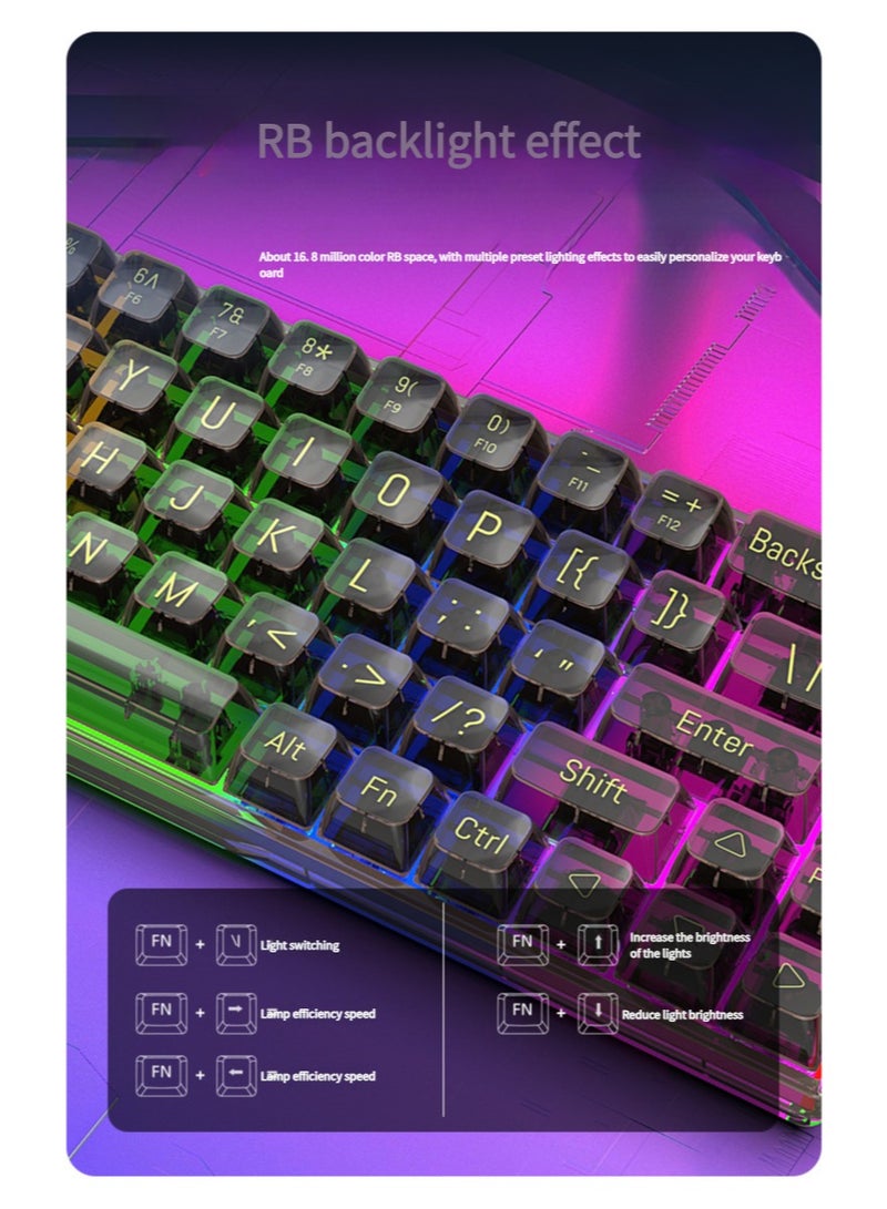 65% Wired RGB Transparent Gaming Keyboard, 68-key Compact Fully Transparent Mechanical Keyboard with Translucent Plate, Custom Linear Switches, Support Win/Linux and Mac OS Black