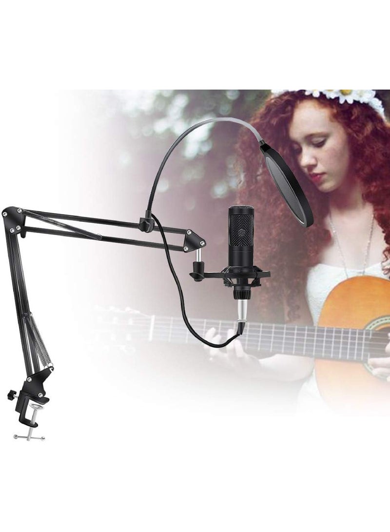 Professional Cardioid Studio Condenser Mic Include Adjustable Suspension Scissor Arm Stand, Shock Mount and Pop Filter for PC Karaoke,Gaming,Studio Recording & Broadcasting