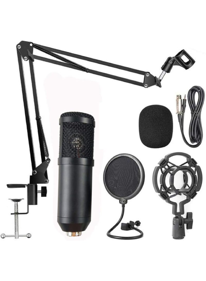 Professional Cardioid Studio Condenser Mic Include Adjustable Suspension Scissor Arm Stand, Shock Mount and Pop Filter for PC Karaoke,Gaming,Studio Recording & Broadcasting