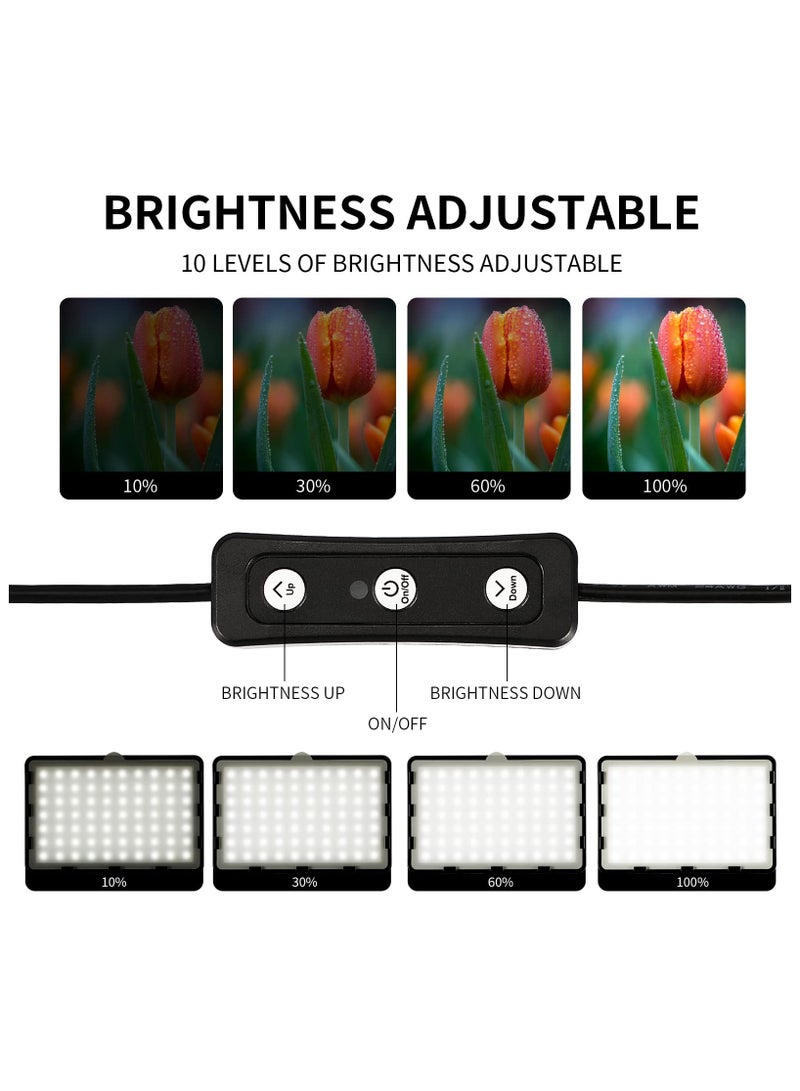 2 Pack Photography Video Lighting Kit LED Studio Streaming Lights 70 Beads Color Filter for Camera Photo Desktop Computer Conference Game Stream Portrait Shooting