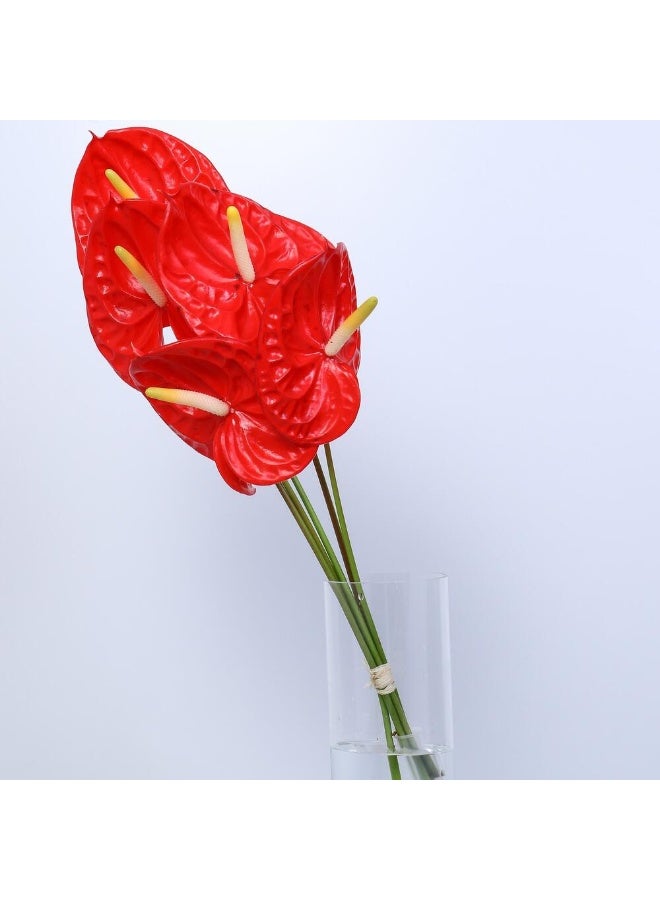 Red Anthurium