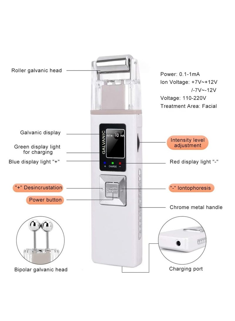 2 in 1 Galvanic Skin Firming Machine, Portable Facial Device Anti-Aging Face Lift Massager, Anti-Aging Face Lift Massager Home Use Beauty Salon Device