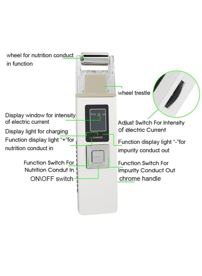 2 in 1 Galvanic Skin Firming Machine, Portable Facial Device Anti-Aging Face Lift Massager, Anti-Aging Face Lift Massager Home Use Beauty Salon Device