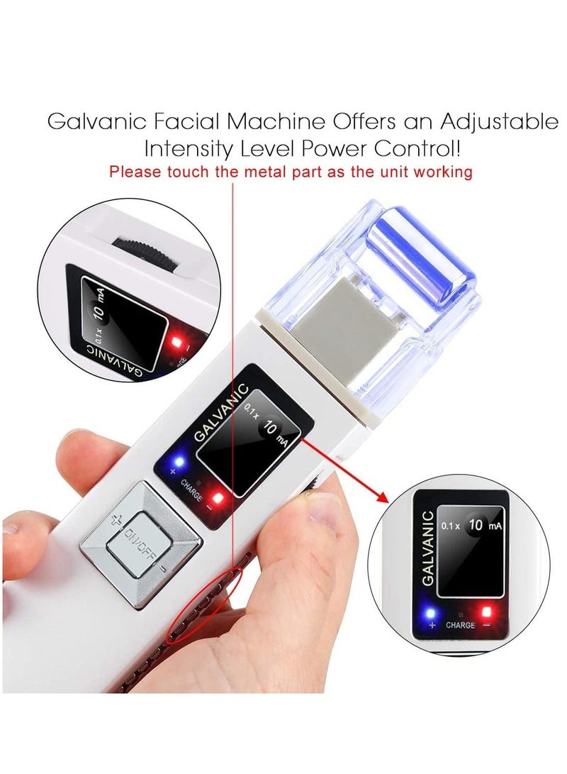 2 in 1 Galvanic Skin Firming Machine, Portable Facial Device Anti-Aging Face Lift Massager, Anti-Aging Face Lift Massager Home Use Beauty Salon Device