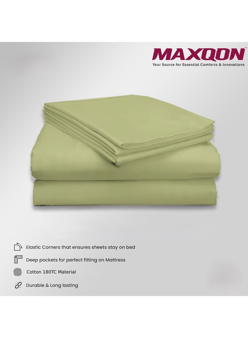 Cotton Tc180 Fitted Bed Sheets +  Pillow Covers, King/Queen/Double/Single Sizes, Color Beige