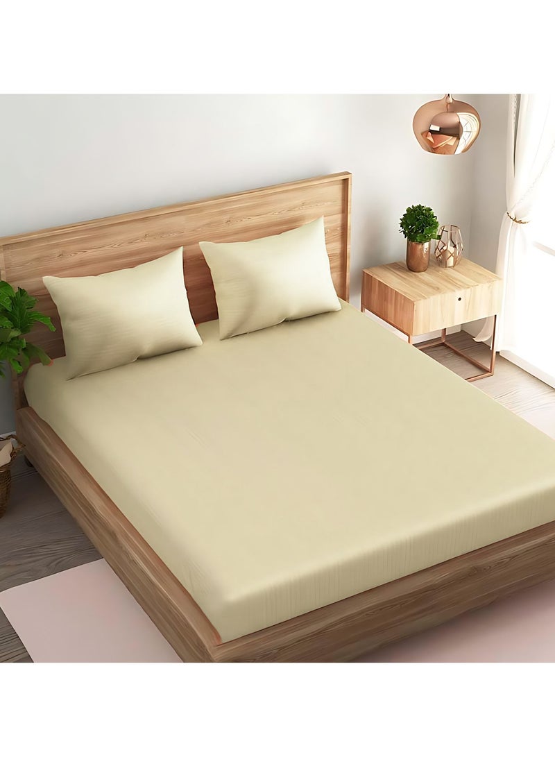 Cotton Tc180 Fitted Bed Sheets +  Pillow Covers, King/Queen/Double/Single Sizes, Color Beige