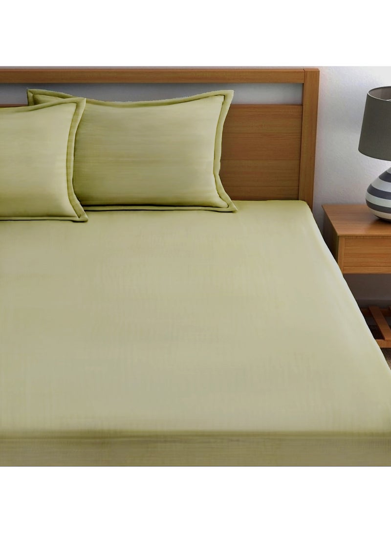 Cotton Tc180 Fitted Bed Sheets +  Pillow Covers, King/Queen/Double/Single Sizes, Color Beige