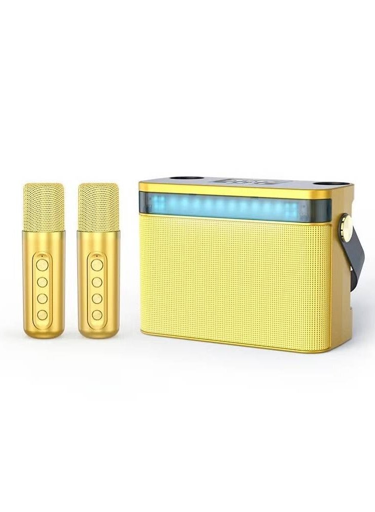 120W High Power RGB Wireless Portable Microphone Bluetooth Speaker