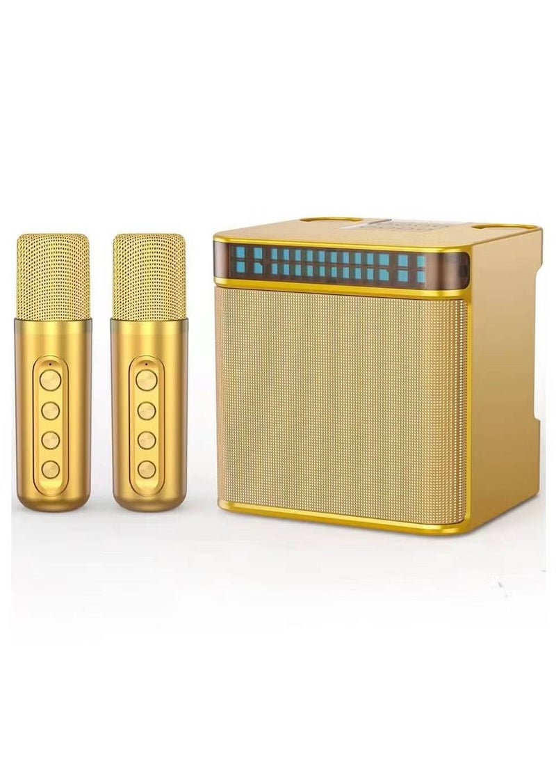 Portable Wireless Bluetooth Karaoke Speaker Stereo Bass With Dual Microphones