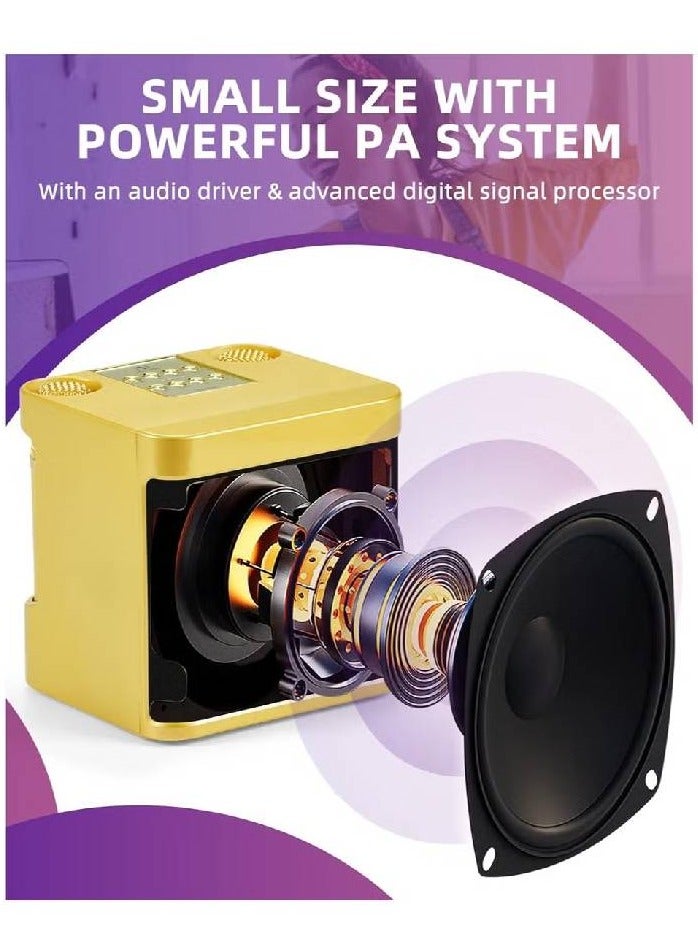 Portable Wireless Bluetooth Karaoke Speaker Stereo Bass With Dual Microphones