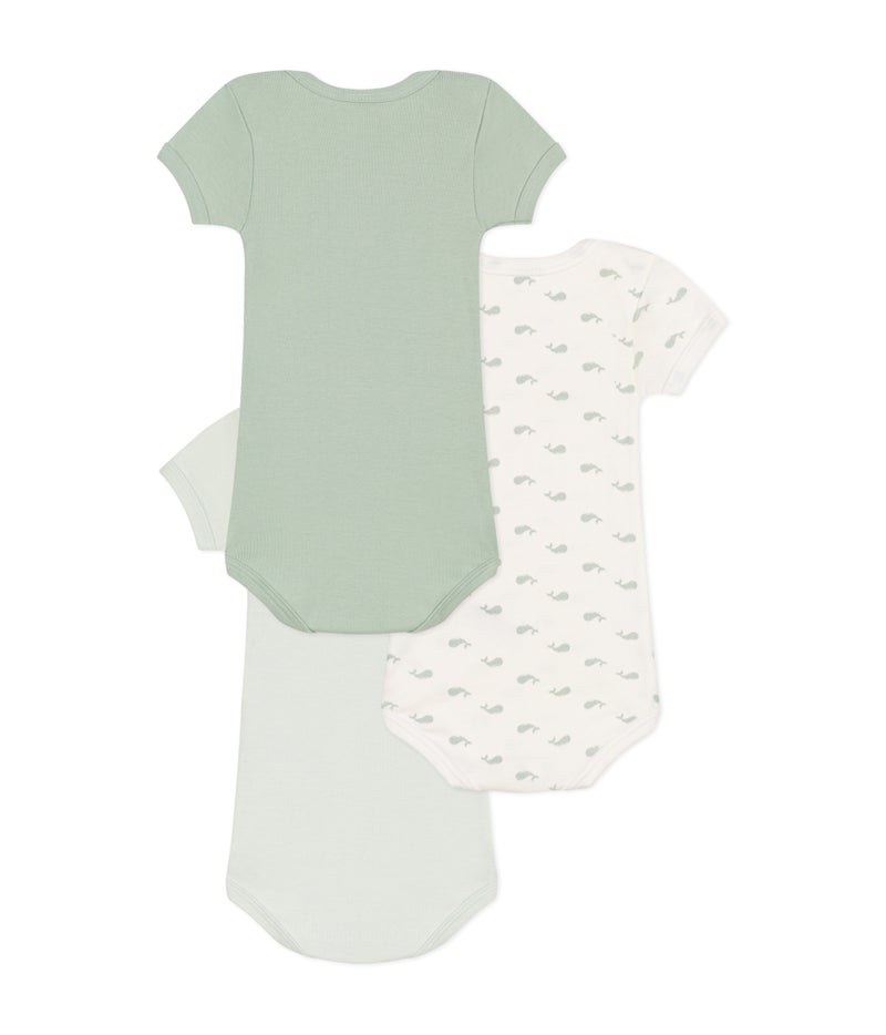 Babies' short-sleeved whale-themed cotton bodysuits - 3-Pack