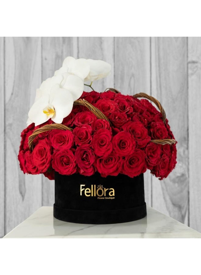 151 Premium Red Rose Box Arrangement