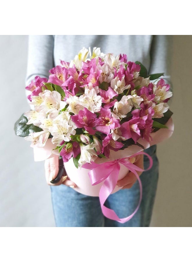 Alstroemeria In A Hat Box