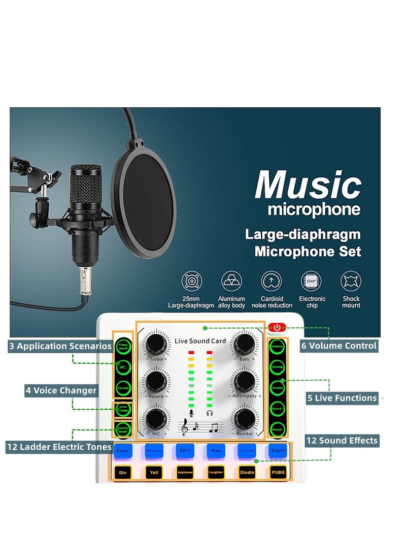Podcast Equipment Bundle with Ring Light and Phone Holder , BM-800 Recording Studio Package with Voice Changer, Live Sound Card,Audio Interface for Laptop Computer Vlog Living Broadcast Live Streaming