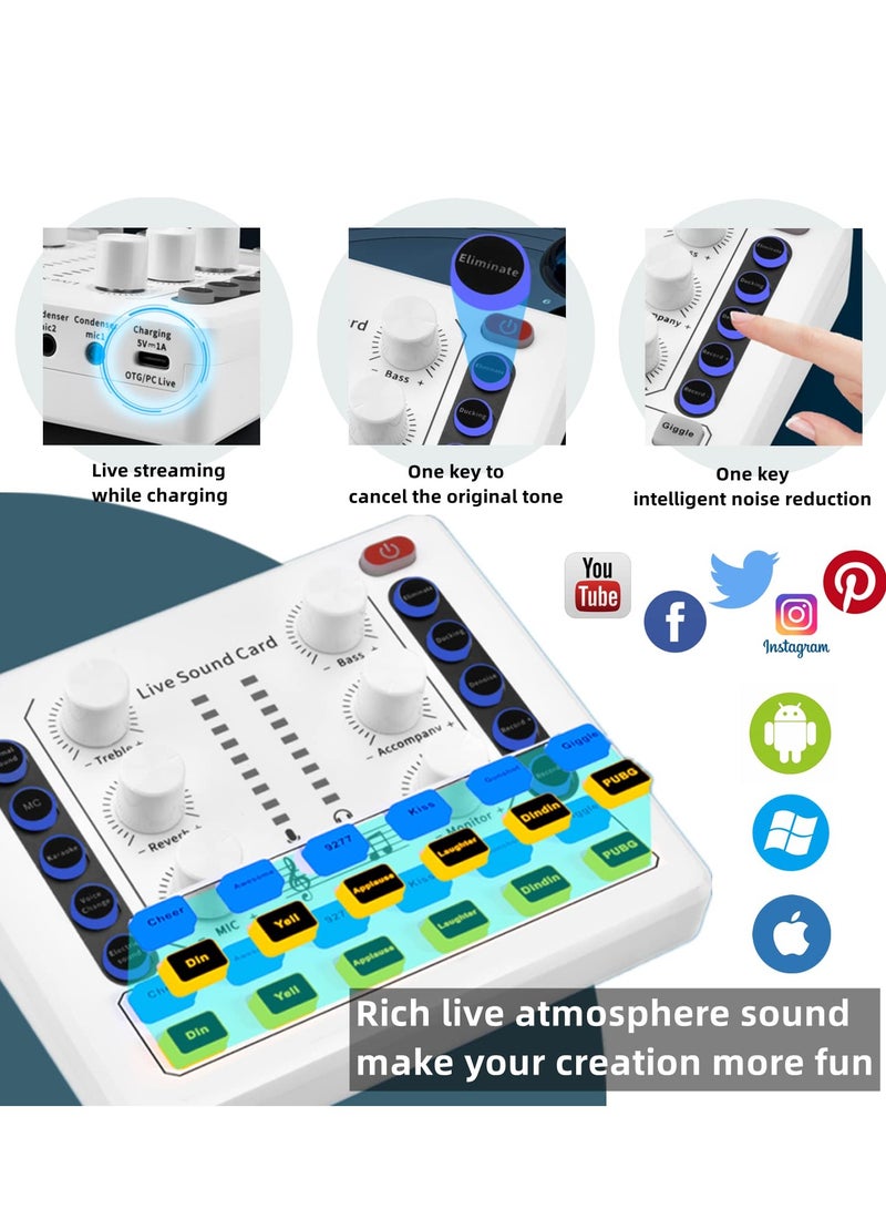 Podcast Equipment Bundle with Ring Light and Phone Holder , BM-800 Recording Studio Package with Voice Changer, Live Sound Card,Audio Interface for Laptop Computer Vlog Living Broadcast Live Streaming