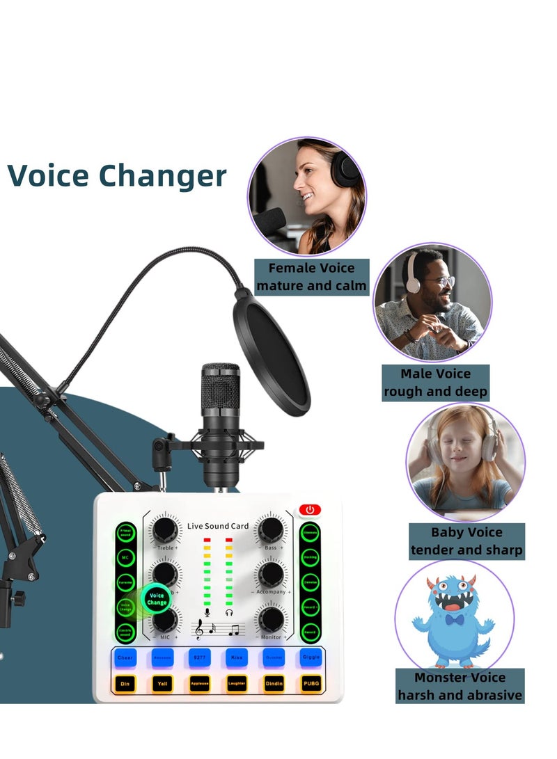 Podcast Equipment Bundle with Ring Light and Phone Holder , BM-800 Recording Studio Package with Voice Changer, Live Sound Card,Audio Interface for Laptop Computer Vlog Living Broadcast Live Streaming