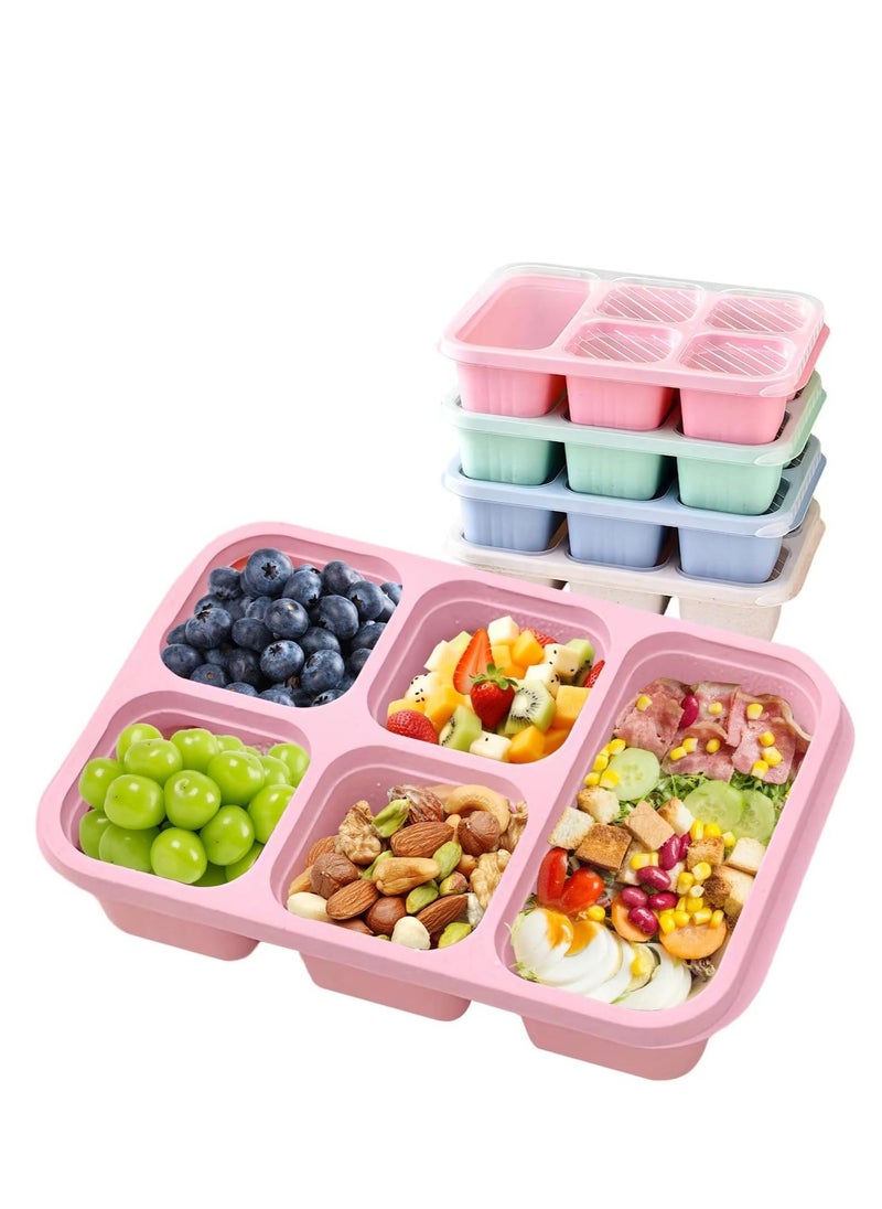 4 Pcs Bento Box, 5 Compartment Bento Box with Transparent Lid for Food Storage and Snack Contain, Reusable Bento Lunch Box for School, Work, Travel, and On-the-Go Meals