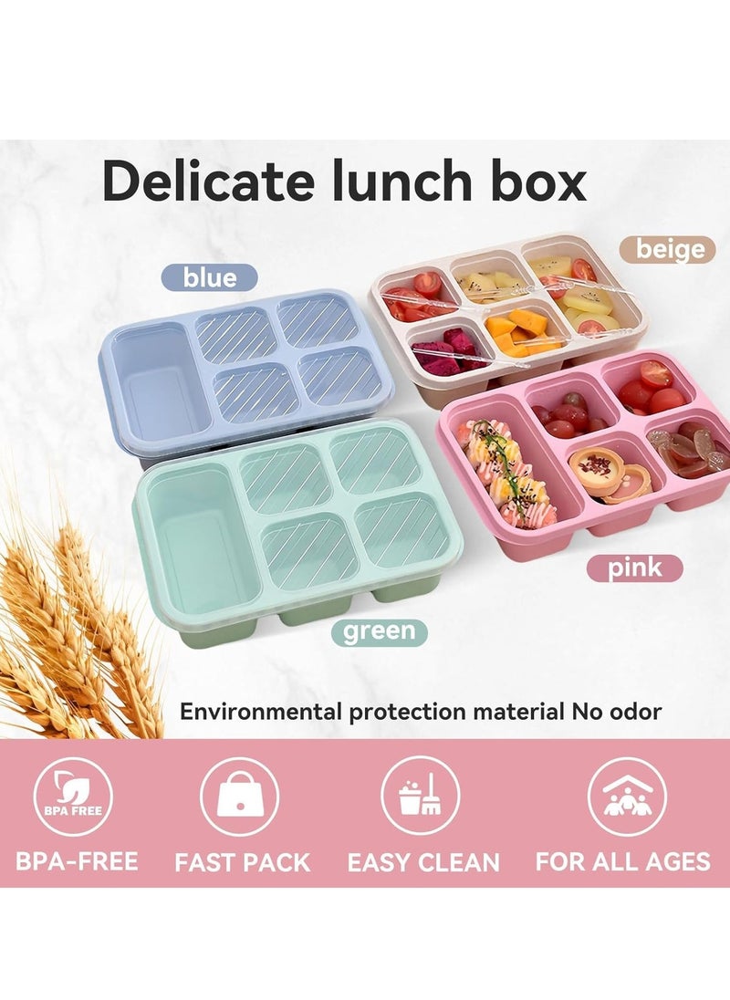 4 Pcs Bento Box, 5 Compartment Bento Box with Transparent Lid for Food Storage and Snack Contain, Reusable Bento Lunch Box for School, Work, Travel, and On-the-Go Meals