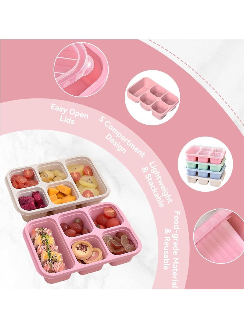 4 Pcs Bento Box, 5 Compartment Bento Box with Transparent Lid for Food Storage and Snack Contain, Reusable Bento Lunch Box for School, Work, Travel, and On-the-Go Meals