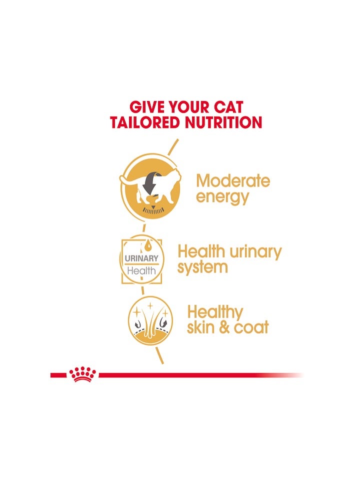 Royal Canin, British Shorthair - 1 Box in 12pcs x 85g - For Cat Wet Food