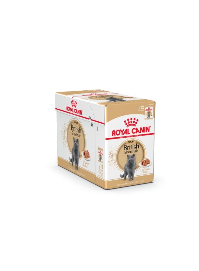 Royal Canin, British Shorthair - 1 Box in 12pcs x 85g - For Cat Wet Food