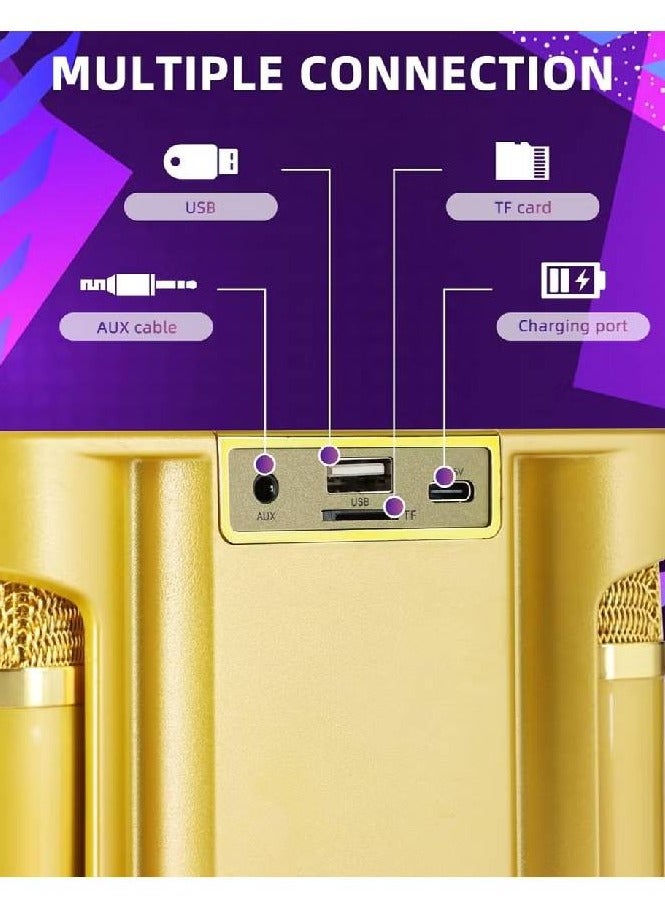 Portable Wireless Bluetooth Karaoke Speaker Stereo Bass With Dual Microphones