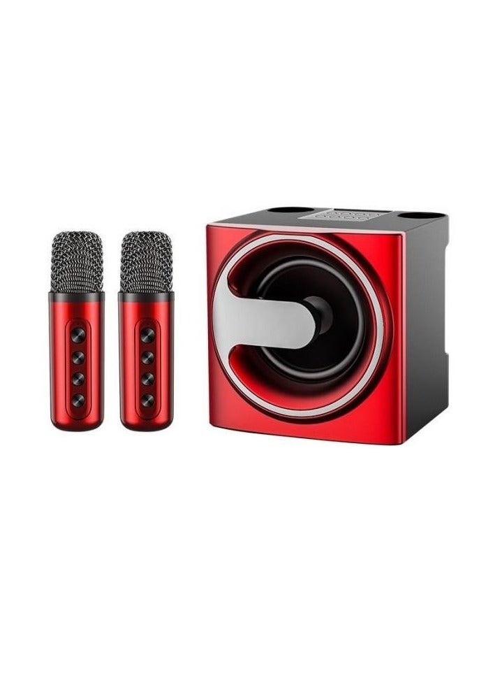 YS-207 Portable Bluetooth Speaker with 2 Microphones Wireless Black