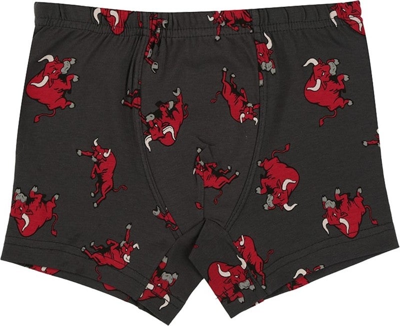 10 Pcs Bull Printed Boy's Boxer - 751121