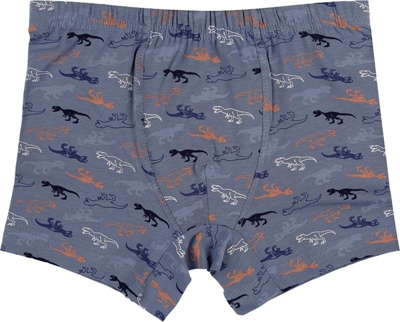 10 Pcs Colored Dinosaur Printed Boy Boxer - 75711260B