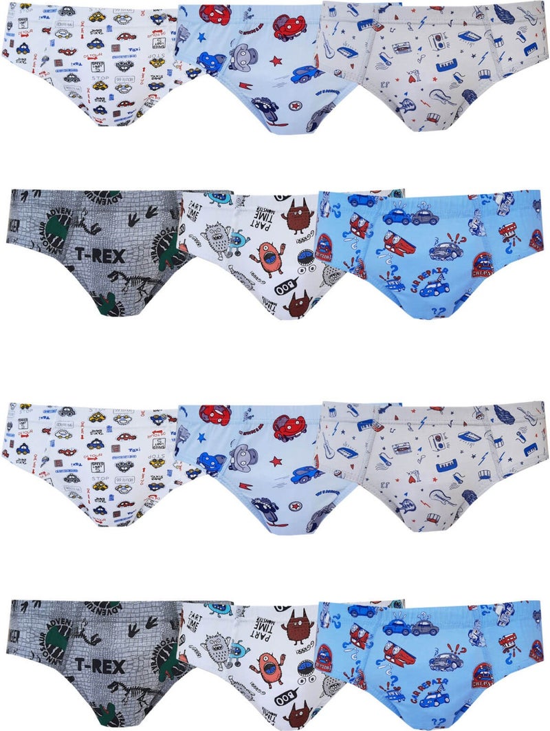 Rival to All Boys' Colorful Printed Slip Panties Cotton 12LI Pack